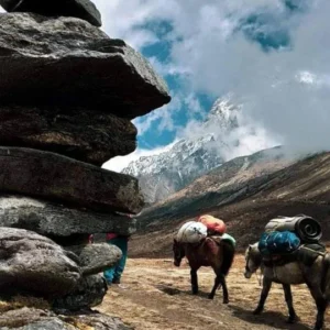 9 Nights / 10 Days Dzongri Goechala Trek Sikkim