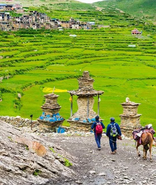 21 Nights / 22 Days Nar Phu Valley Trekking Package – Nepal