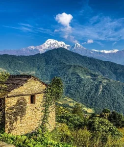 7 Nights 8 Days Kathmandu / Pokhara / Chitwan Tour Package