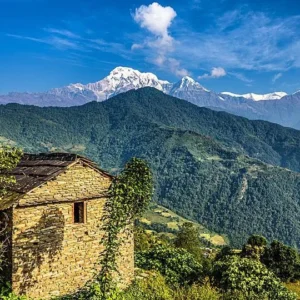 7 Nights 8 Days Kathmandu / Pokhara / Chitwan Tour Package