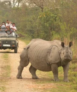 10 Nights 11 Days Assam / Meghalaya / Shillong / Arunachal Tour Package