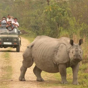 10 Nights 11 Days Assam / Meghalaya / Shillong / Arunachal Tour Package